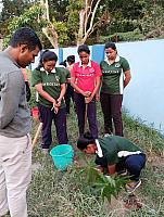 Tree Plantation Programme